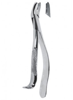 Extracting Forceps